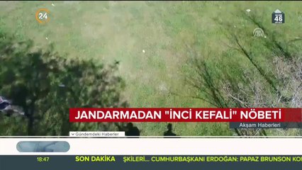Jandarmadan İnci Kefali nöbeti