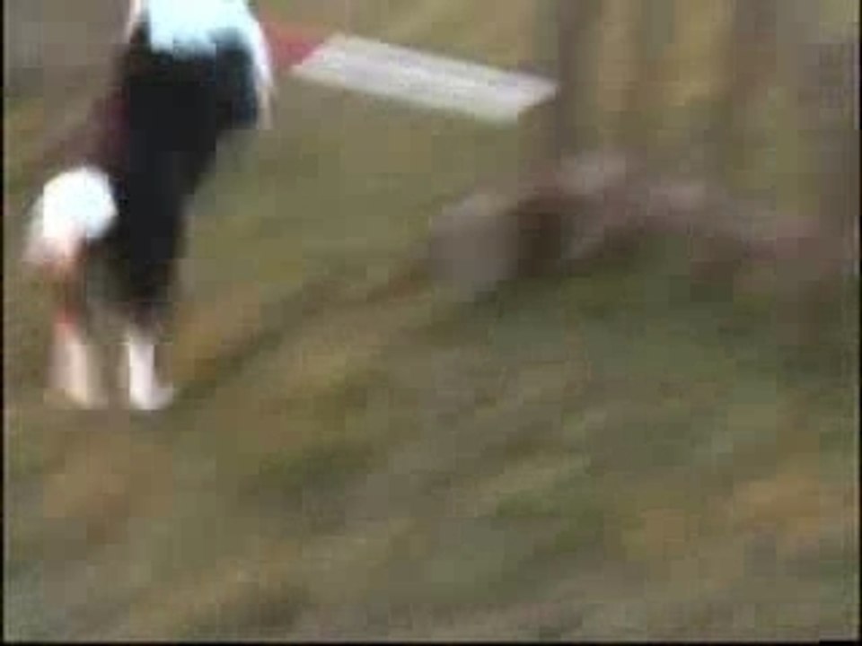 Aramis Agility 01-12-07