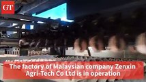 Meet the production line of a Malaysian agricultural company in South China’s Nanning that can produce 600,000 eggs per day. The Malaysian company see great pot