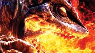 ¿Que paso con Gamera new y Godzilla Heritage? | TL2Bie