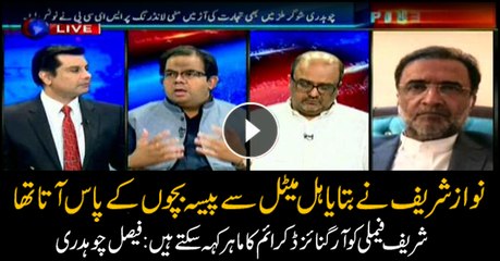 Faisal Chaudhry says Sharif family can be called 'master of organized crime'