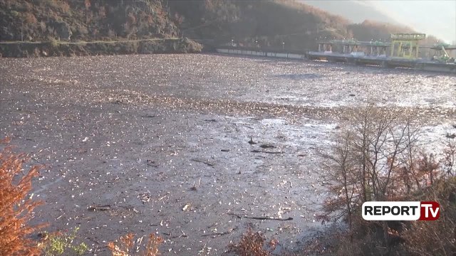 Report TV - Ndotet Liqeni i Ulzës, rrezikohen gjallesat nënujore
