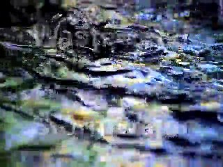 Fairfax County Wastewater Treatment