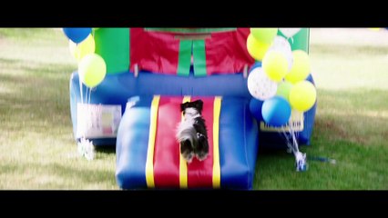 Dog Days Teaser Trailer #1 (2018)   Movieclips Indie