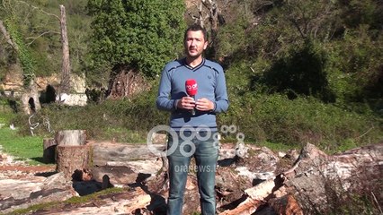 Ora News - Dëmtohet “Syri i Kaltër”, sëmundja dhe stuhitë rrëzojnë pemët shekullore