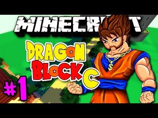 Dragon Block C - SEREI O MELHOR SAYAN! (c/ M4ster) - #1 - Minecraft