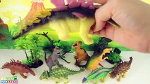 T Rex Squishy funny Toys. Learn Dinosaurs with stress ball Stegosaurus Learning dinosaur Toy box 공룡