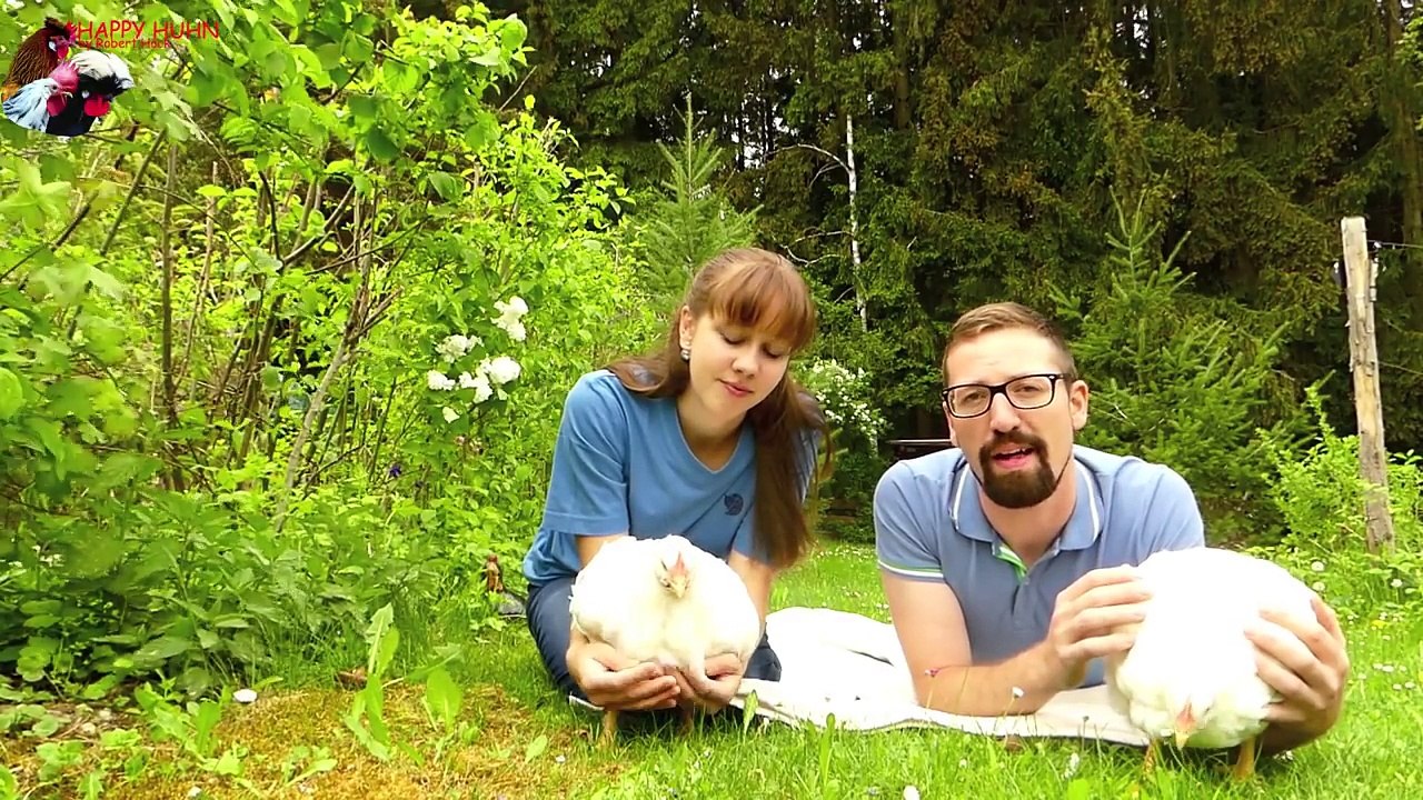 Happy Huhn Folge 81: Turbo-Masthühner näher betrachtet, Weiße Masthybriden  Gewichtsentwicklung