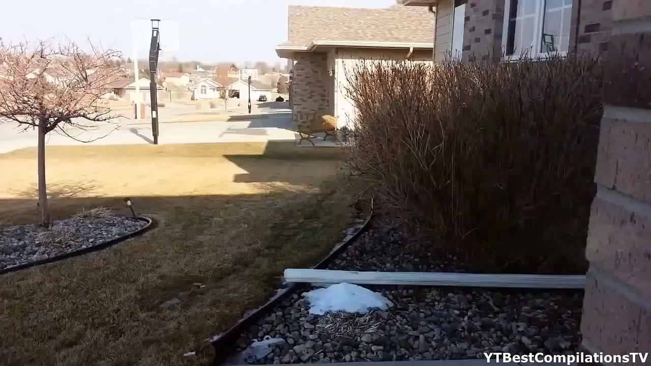 Airman Surprises Girlfriend - Emotional Homecoming 2016