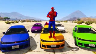 Cars Transportation in Funny Spiderman Cartoon for Kids and Nursery Rhymes Songs