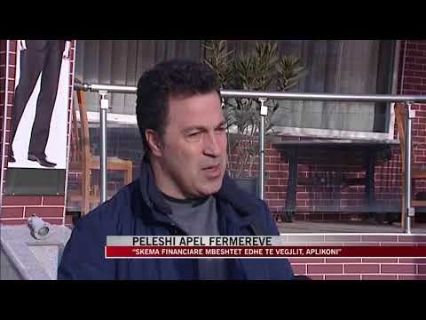 Peleshi: “Aplikoni, skema financiare mbështet edhe të vegjlit” - News, Lajme - Vizion Plus