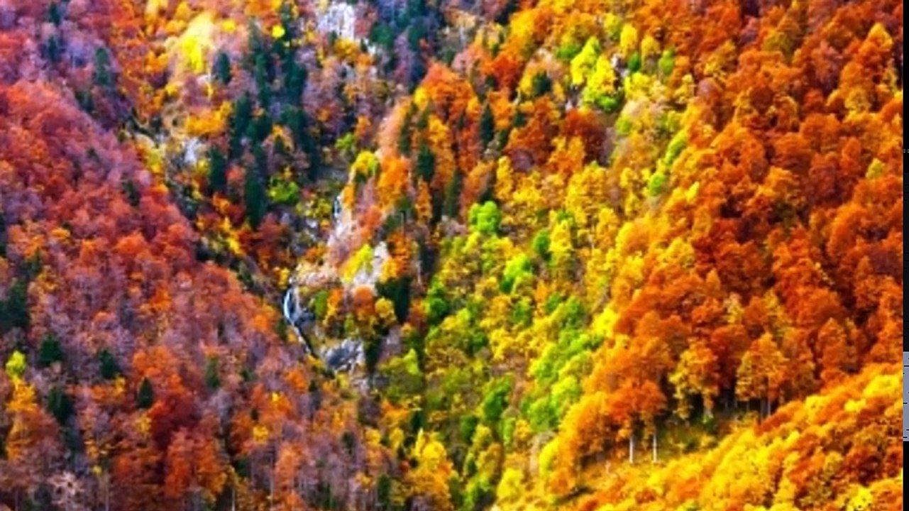 Jesus mi fiel amigo - Version instrumental, Musica para orar