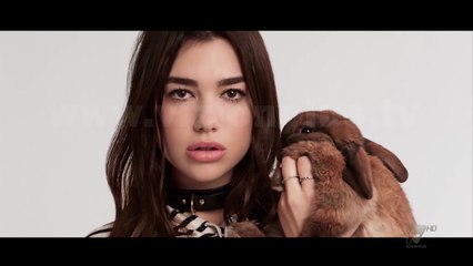 Next - Profil - 15 Dhjetor 2017 - Show - Vizion Plus