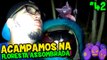 POKÉMON GO #42 - FOMOS ACAMPAR NA FLORESTA ASSOMBRADA E QUASE MORREMOS !