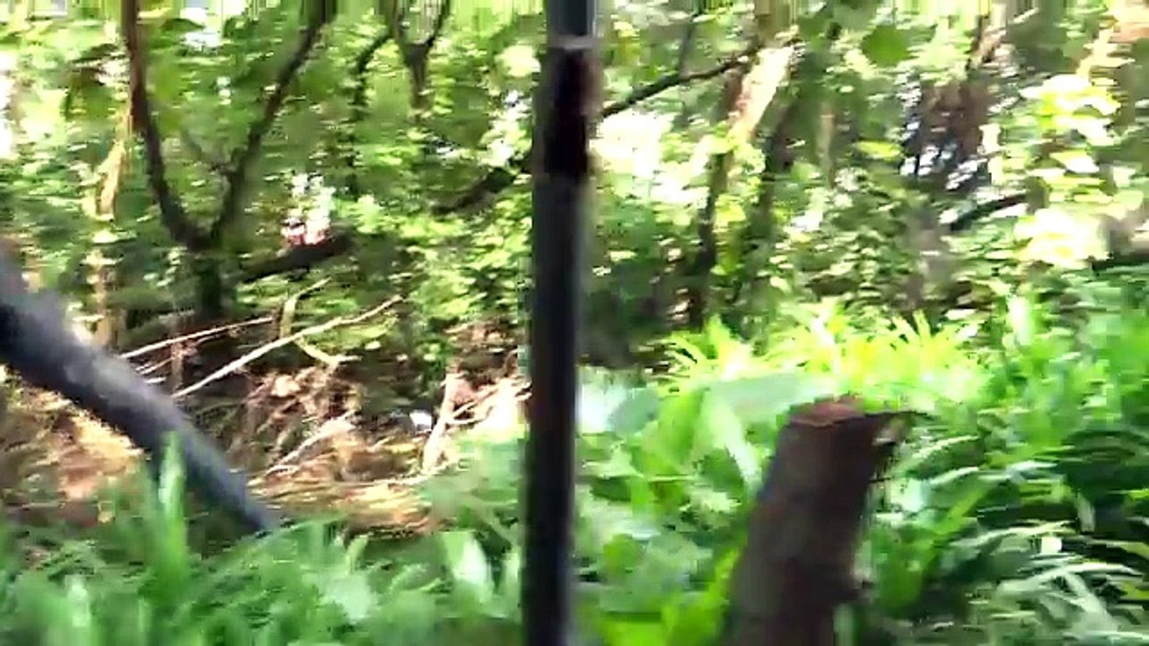 ผจญภัยแดนไดโนเสาร์ @ สวนสยาม ทะเล กรุงเทพฯ - Jurassic Adventure @ Siam Park City (Bangkok)