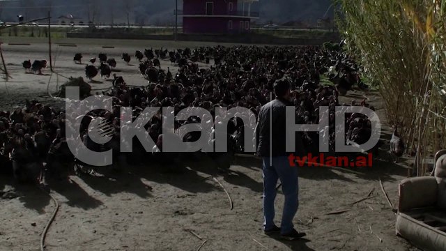 Gjelat e detit “bllokojne” rrugen Lezhe-Shkoder