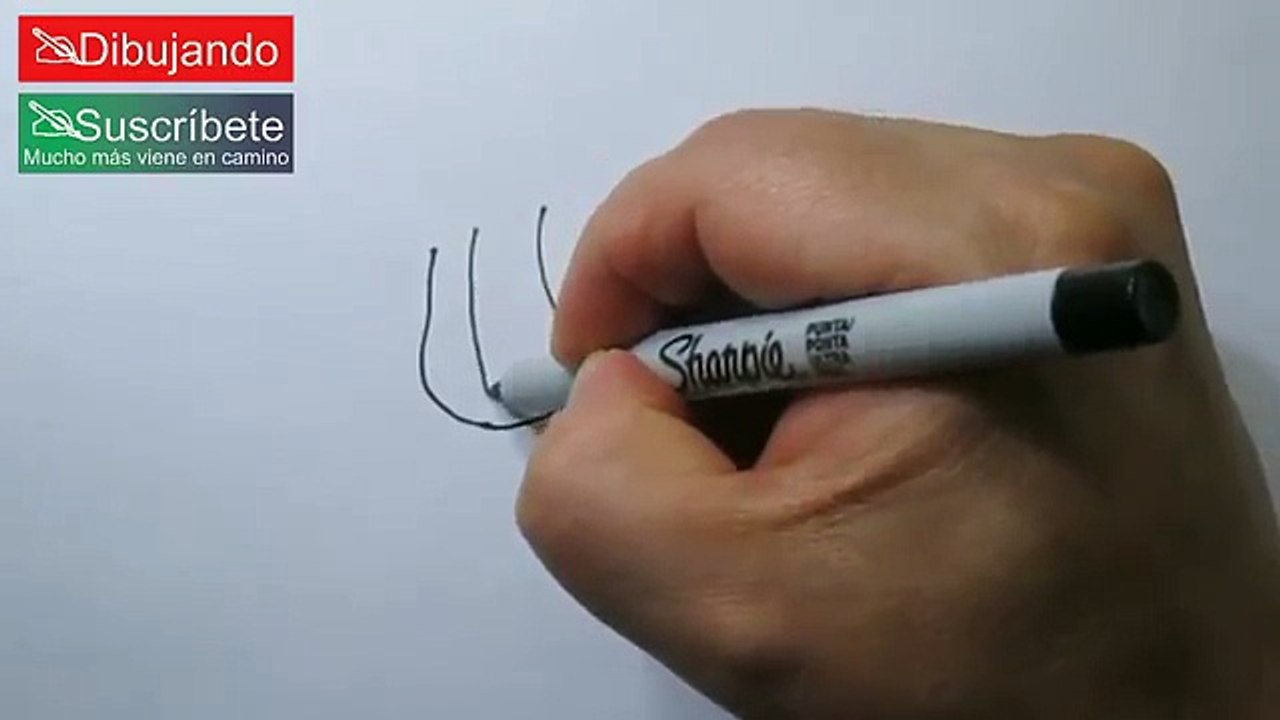 Cómo Dibujar al Chavo Del 8 - How To Draw El Chavo | Dibujando