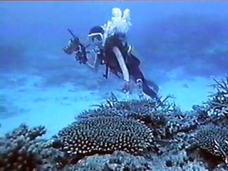 Classic japanese girl scuba scene
