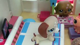 LPS Hotel Mess Up *Remake*