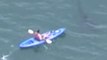 Helicopter Video Shows Kayaker Falling into Water While Great White Shark Lurks Beneath