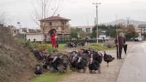 Gjelat e Vitit të Ri nuk kanë treg; shiten në anë të rrugës  - Top Channel Albania - News - Lajme