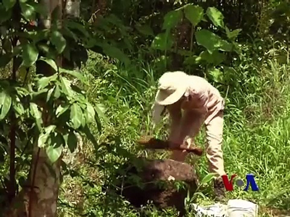 越南战后40年 危险依然存在