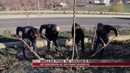 Tải video: Mbillen pemë në Unazën e Tiranës - News, Lajme - Vizion Plus