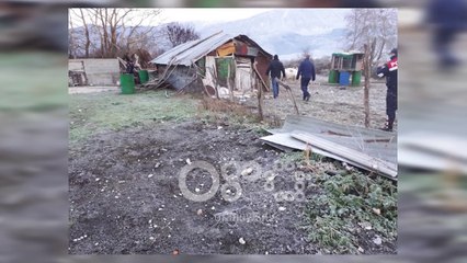 Ora News-  Në stanin e lazaratasit gjejnë 281 kg kanabis