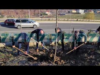 BASHKIA E TIRANES VIJON MBJELLJEN E PEMEVE - News, Lajme - Kanali 9