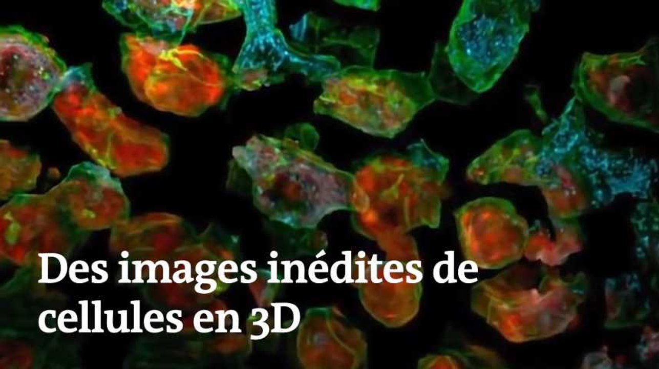 Sans Titre