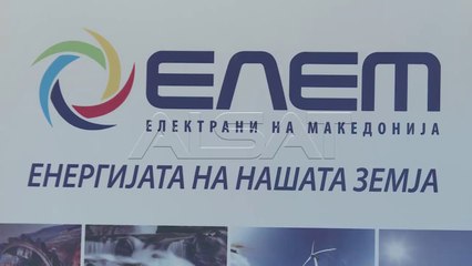 ELEM: Nuk ka probleme me sasitë e thëngjillit në TEC Manastir