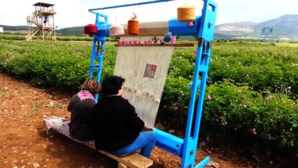 Gül bahçelerinde gül toplayıp, türkü söyleyerek halı dokudular