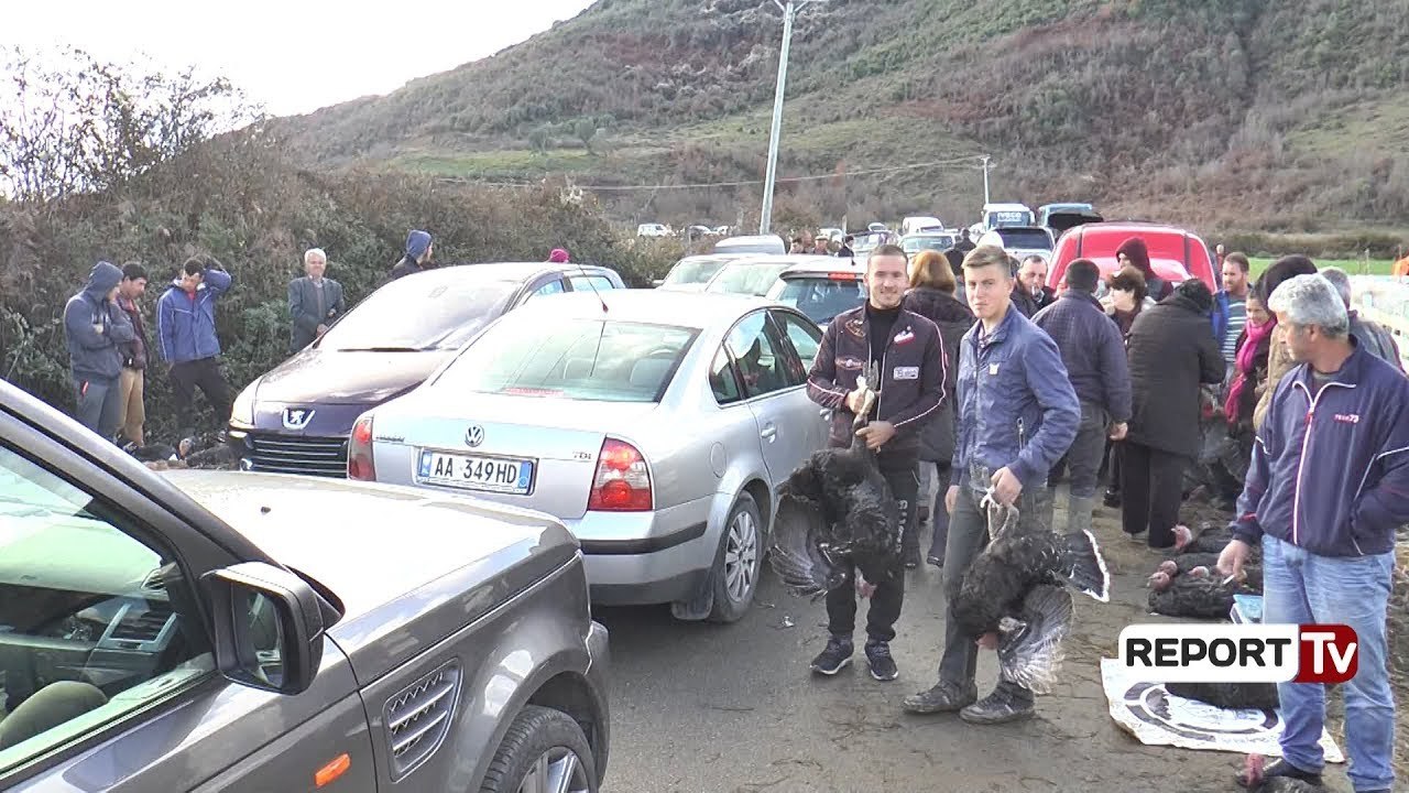 Report TV - Në tregun e gjelave të detit në Baldushk, tregtarët:Nuk ka shitje. çmimi është i ulët