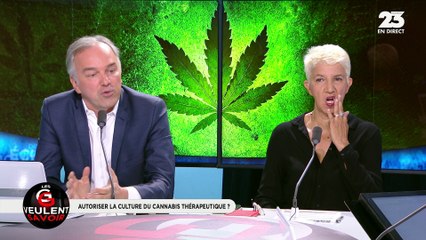 Les GG veulent savoir : Doit-on autoriser la culture du cannabis à but thérapeutique ? - 10/05