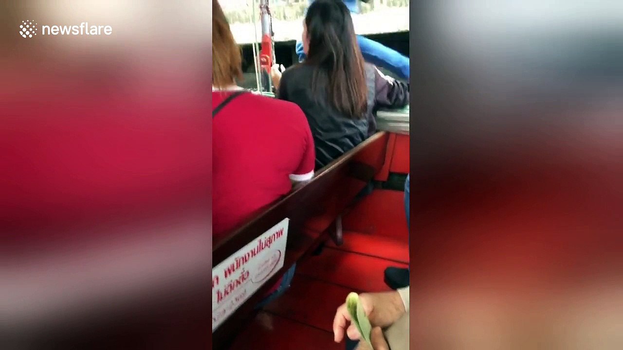 Hero passer-by rescues blind drowning dog from dirty canal