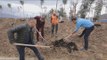 Ora News - Premtimi: Deri në prill, mbi 100 mijë pemë të reja në Tiranë