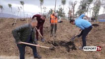 Studentët i bashkohen nismës së Bashkisë, Veliaj: Deri në prill, mbi 100 mijë pemë të reja