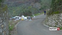 Report TV - Tiranë, në lagjen Kodër nuk pastrohen mbeturinat, shkak ndërrimi i firmës pastruese