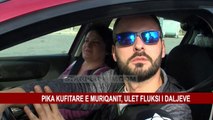 PIKA KUFITARE E MURIQANIT, ULET FLUKSI I DALJEVE