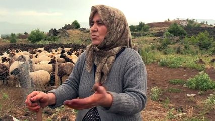 Yörük Teyze göç yolunda - HATAY