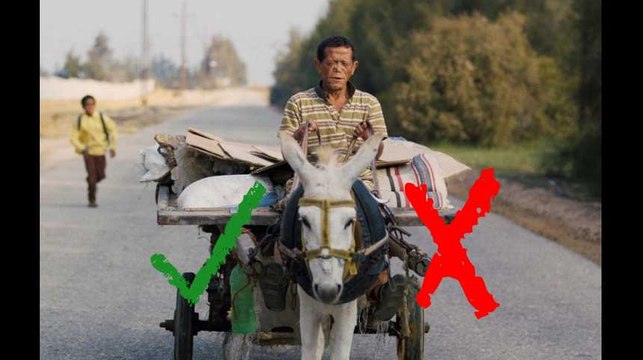 Festival de Cannes 2018: Yomeddine passe-t-il le test de Behdel?