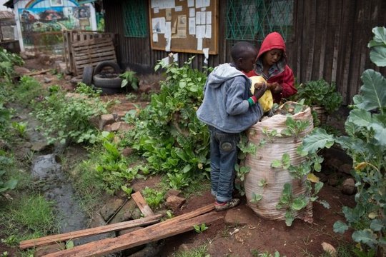 J'y crois pas ! 1 milliard de personnes vivent dans des bidonvilles