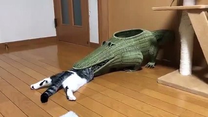 Brutal leaked footage from planet earth II