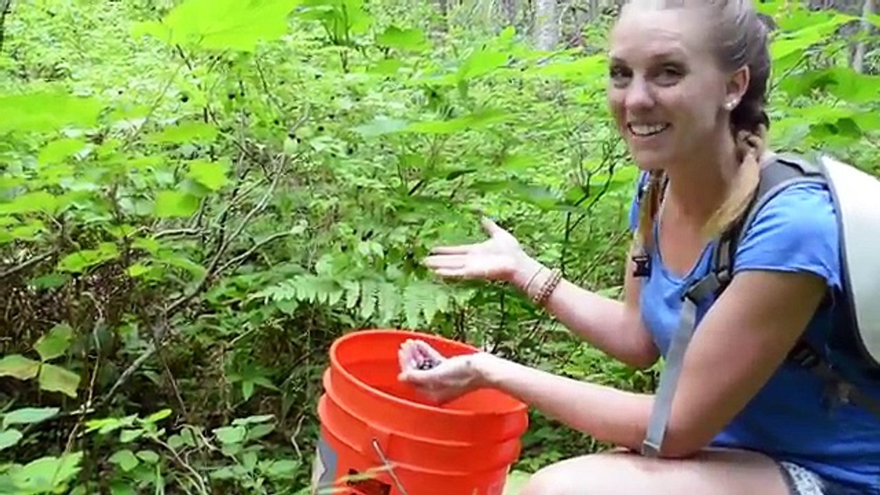 Foraging for Wild Edible Plants & Bartering with Free Forest Food?