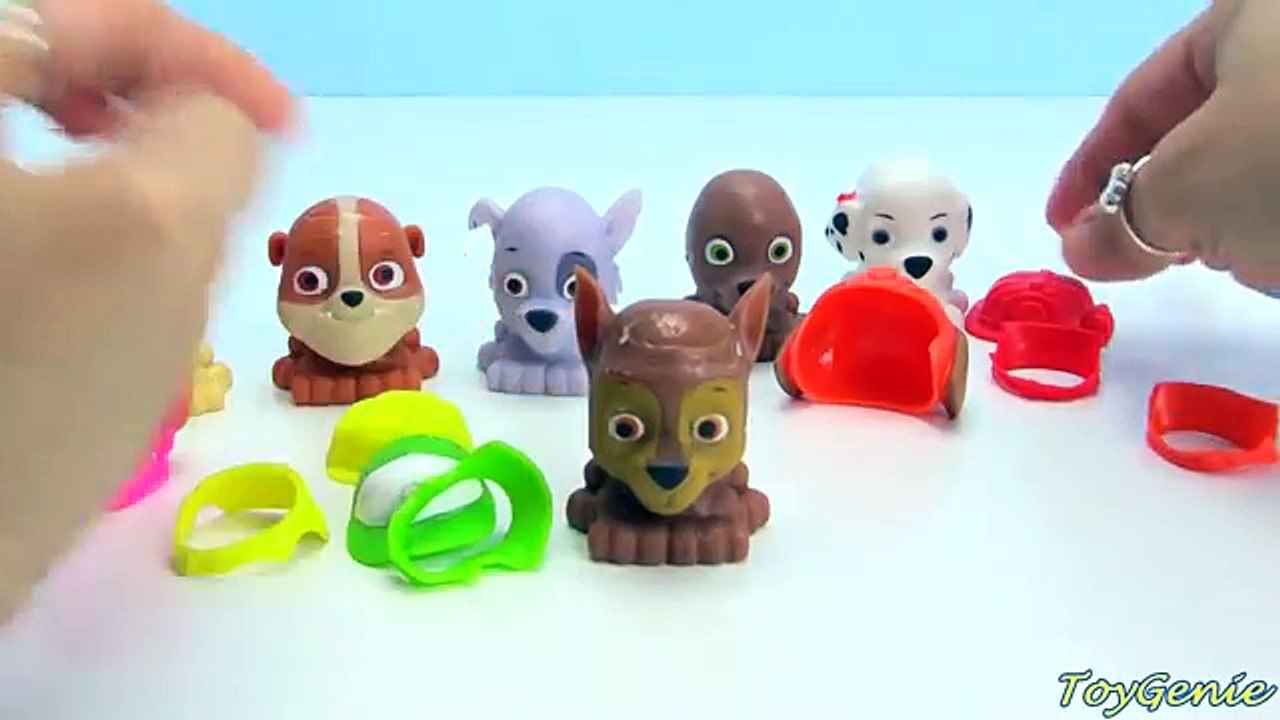 Paw Patrol Mashems Change Outfits