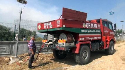 Fethiye'de Zeytinlik Alanda Yangın