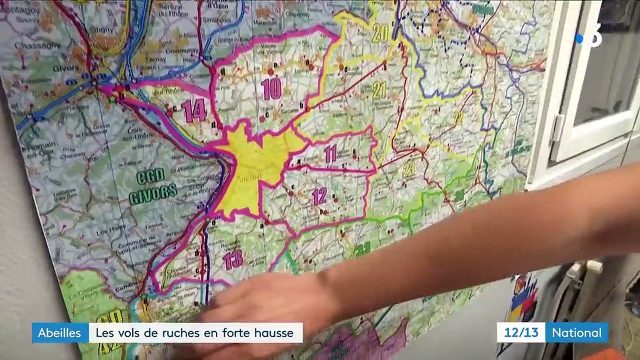 Abeilles : les vols de ruches en forte hausse