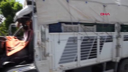 Aydın Kamyonet Tır'a Arkadan Çarptı 1 Ölü-Hd