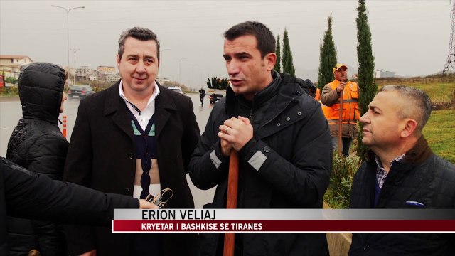 100 pemë të reja në Unazën e Madhe - News, Lajme - Vizion Plus