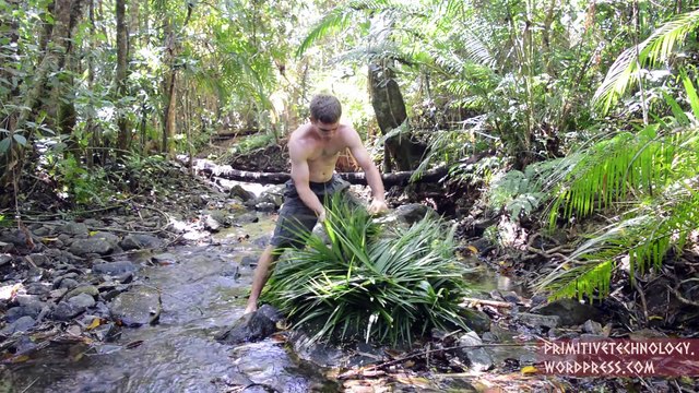 New area starting from scratch - good ideas